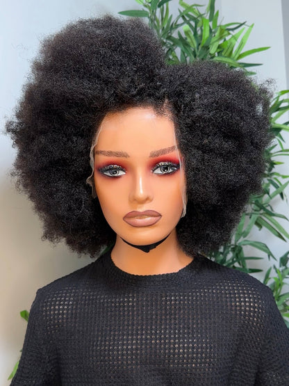 AFRO KINKY EDGES HD FRONTAL WIG